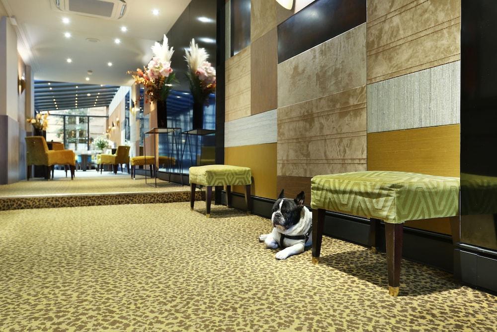 Hotel Concortel Париж Екстер'єр фото